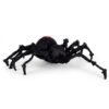 332006 Araña Viuda Negra
