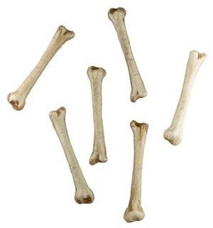 332010 2 Bolsa de Huesos