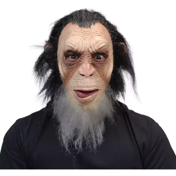 50035 1 Old Julius Ape