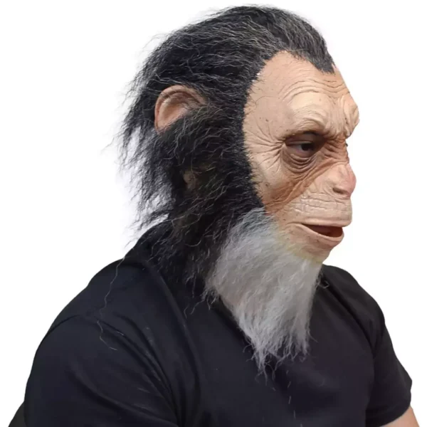 50035 3 Old Julius Ape