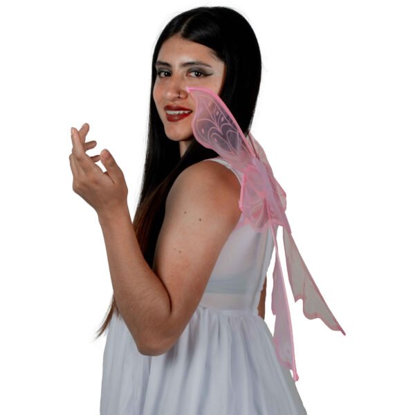 668027 5 Alas de Hada de Tornasol