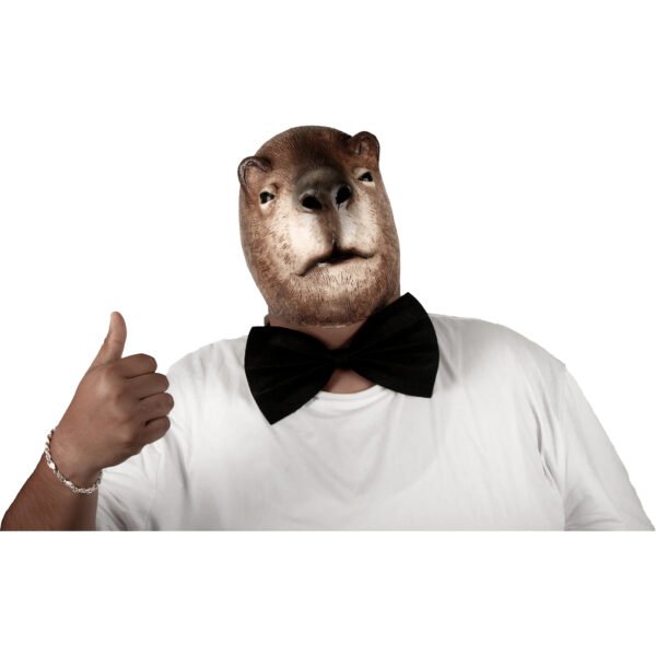 71537 1 Novio Capibara