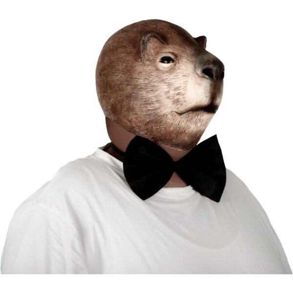 71537 2 Novio Capibara