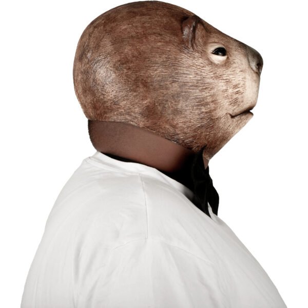 71537 3 Novio Capibara