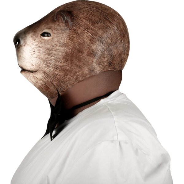 71537 5 Novio Capibara