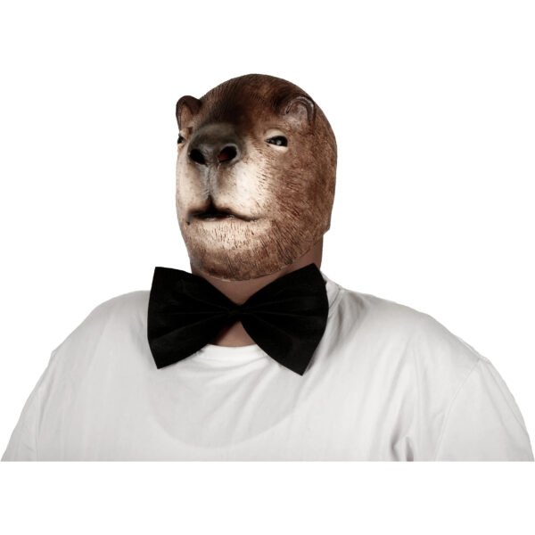 71537 6 Novio Capibara