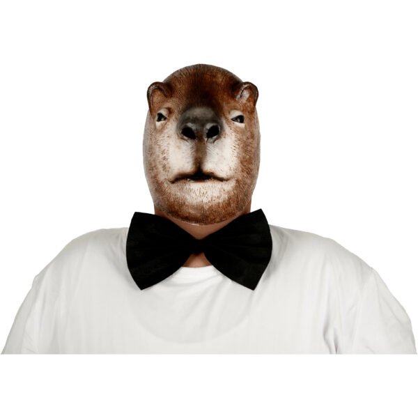 71537 7 Novio Capibara