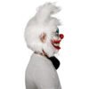 Clown Rabbit