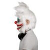 Clown Rabbit