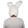 Clown Rabbit
