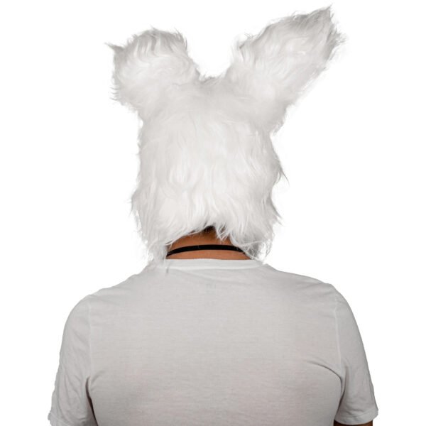 Clown Rabbit