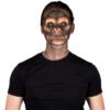 Black Chimp