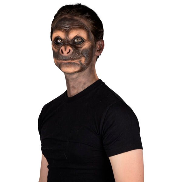 Black Chimp