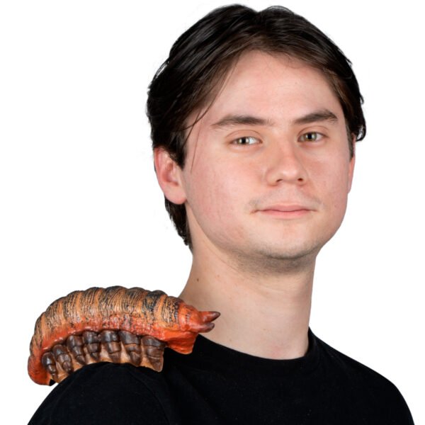 Centipede