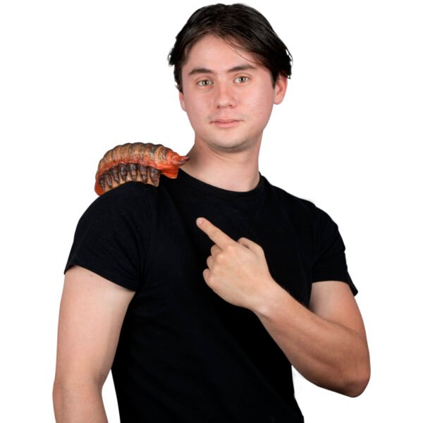 Centipede