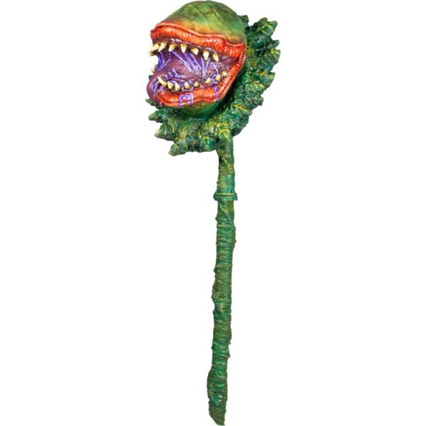 Carnivorous plant garden decor