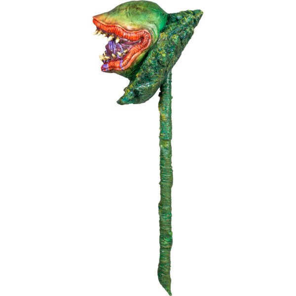 Carnivorous plant garden decor