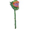 Carnivorous plant garden decor
