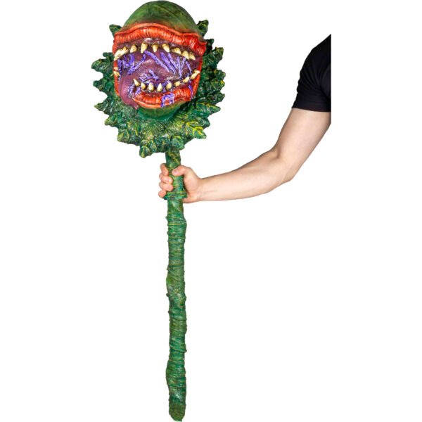 Carnivorous plant garden decor