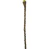 Staffs: Witch Green