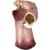 Living Severed Hand 2