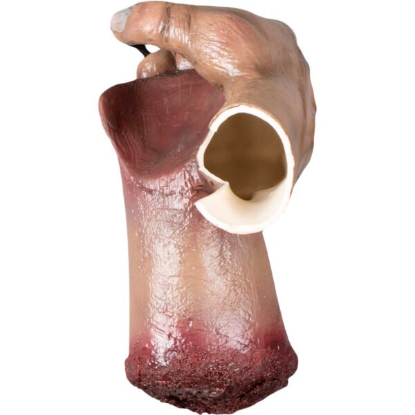 Living Severed Hand 2