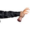 Living Severed Hand 2