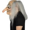 Old Troll