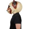 Rotten Panda