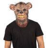 Mangy rat