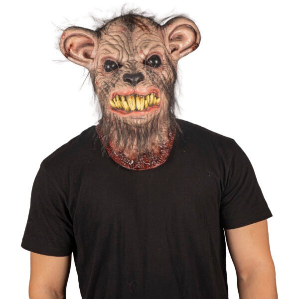 Mangy rat