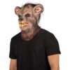 Mangy rat