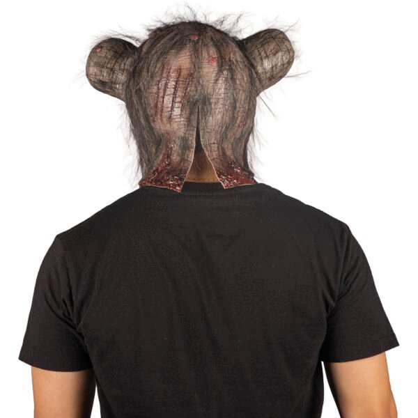 Mangy rat