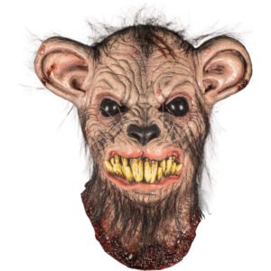 Mangy rat