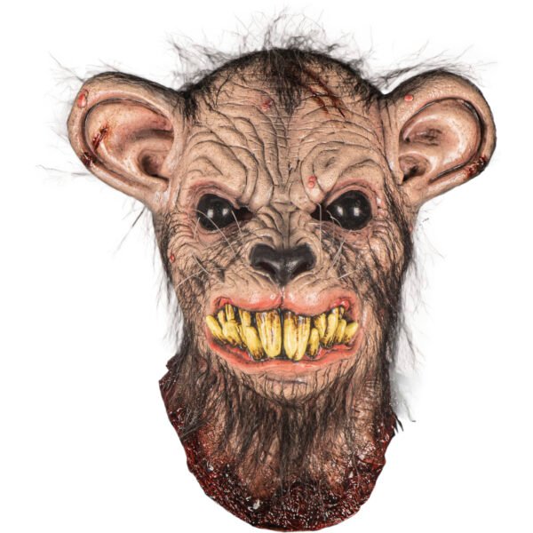 Mangy rat