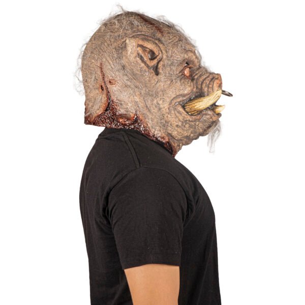 Rabid boar