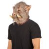 Rabid boar