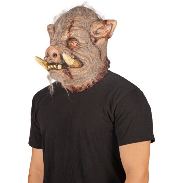 Rabid boar