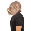Rabid boar