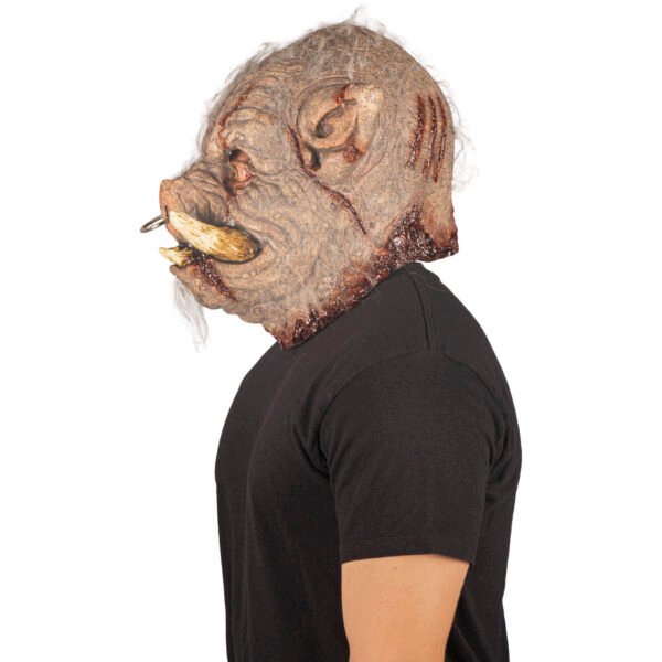 Rabid boar
