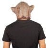 Rabid boar