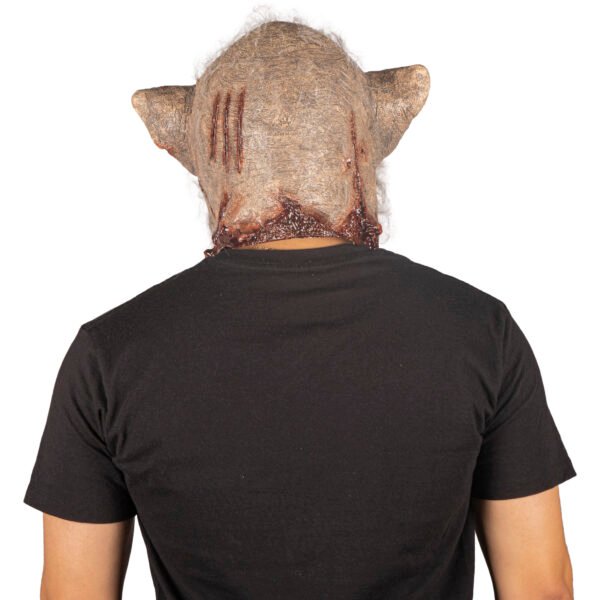 Rabid boar