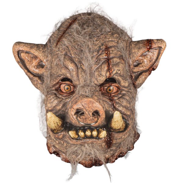 Rabid boar