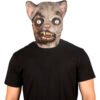 Zombie Cat
