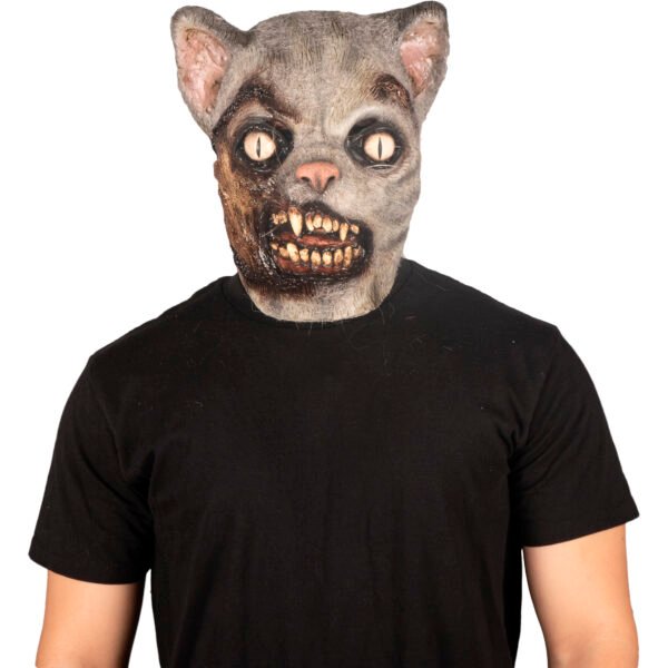 Zombie Cat