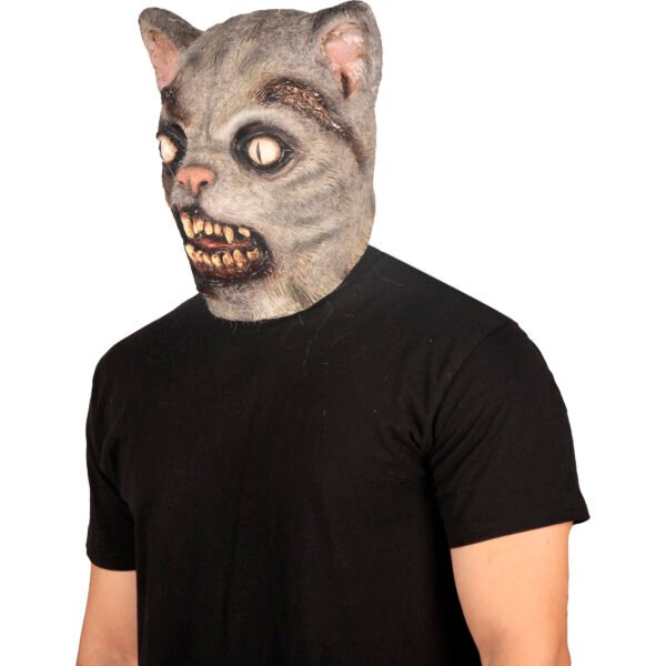 Zombie Cat