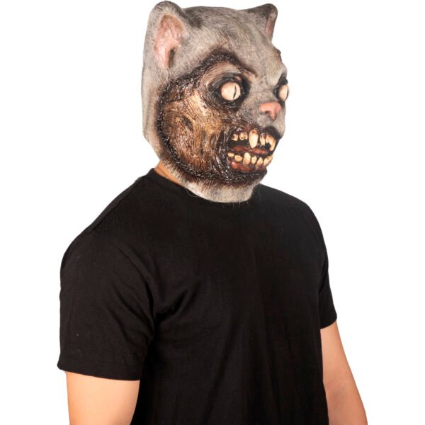 Zombie Cat