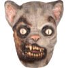 Zombie Cat