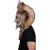 30162_Big Horns Skull (3) Big Horns Skull
