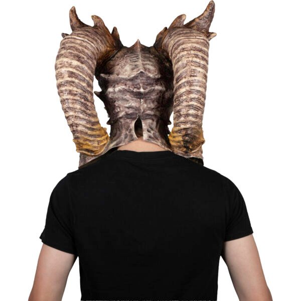 30162_Big Horns Skull (4) Big Horns Skull